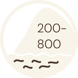 robusta_icon_sea_level